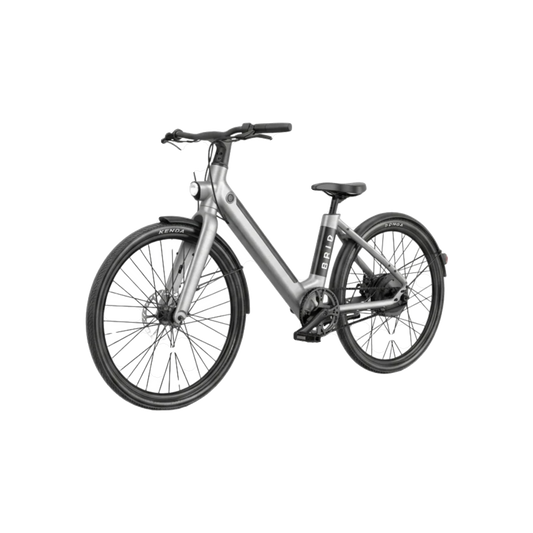 Apollo EVO 16 E-Bike