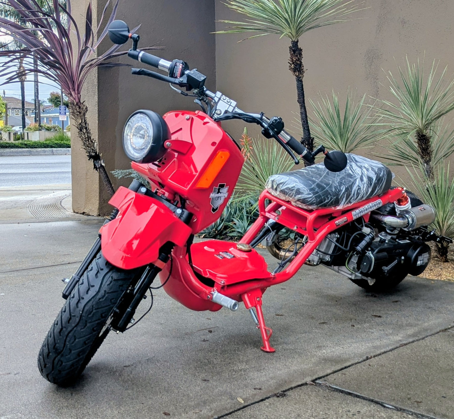 Maddog Gen V 150cc Scooter