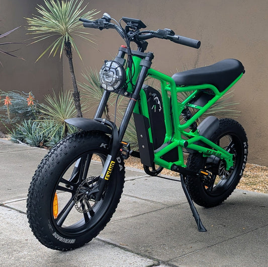 X500 Dirt Bike E-Bike 500W