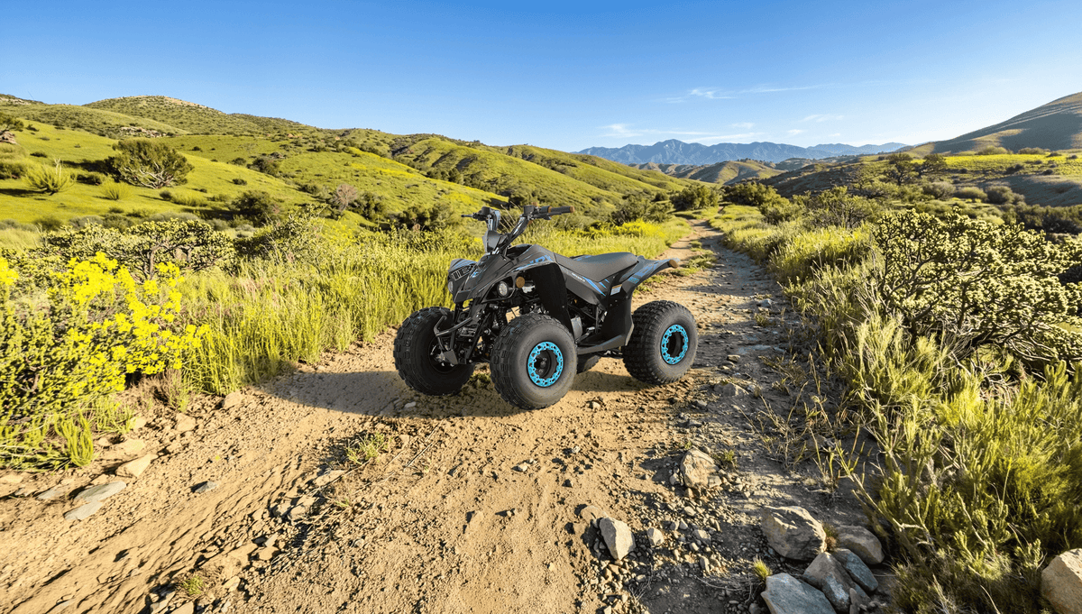 Ice Bear GRZ125-D ATV teal black front three-quarter view